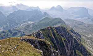 for online version caladriusapk20192