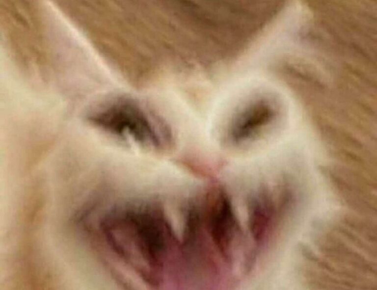 why obernaft can't play on pc