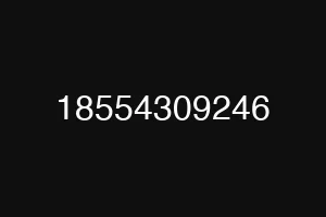 18554309246
