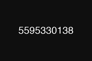 5595330138