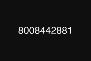 8008442881