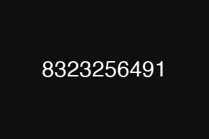 8323256491