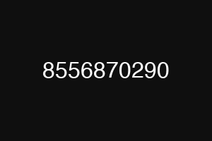 8556870290
