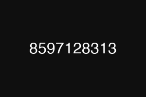 8597128313
