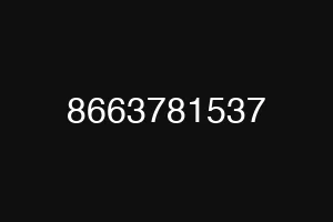 8663781537