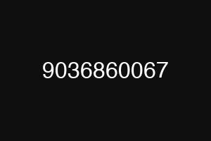 9036860067