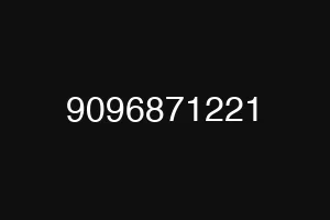 9096871221