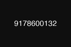 9178600132