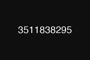 3511838295