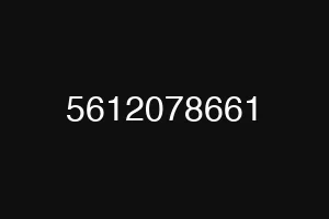 5612078661