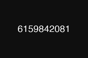 6159842081