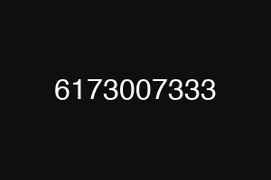 6173007333