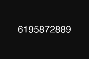 6195872889