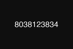 8038123834
