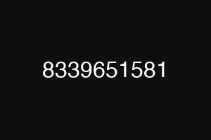 8339651581