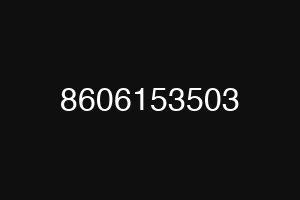 8606153503