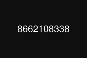 8662108338