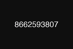 8662593807