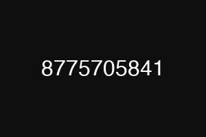8775705841