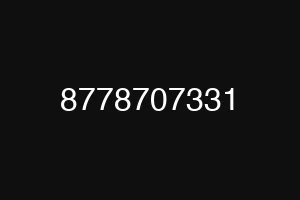 8778707331